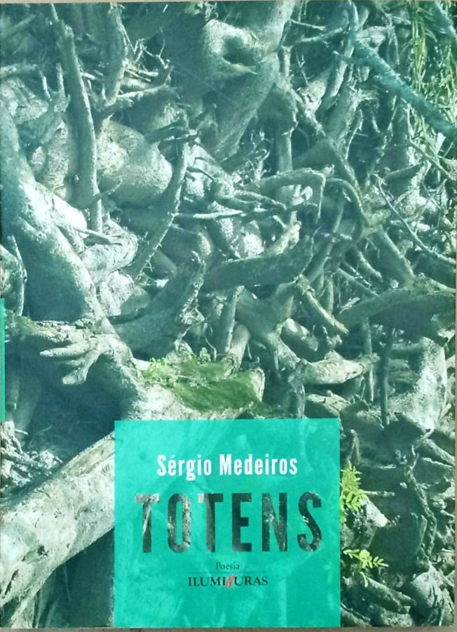 <a href="https://www.touchelivros.com.br/livro/totens/">Totens - Sérgio Medeiros</a>
