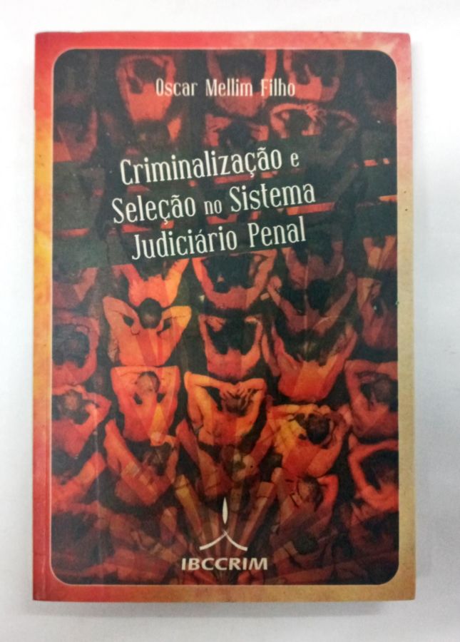 A Execução Trabalhista E A Efetividade Da Tutela Jurisdicional - Antonio José Loureiro Da Silva