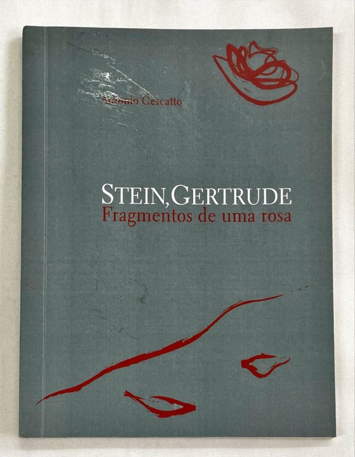 Libro de Referencia Gramatical: Fichas y Ejercicios - Matilde Cerrolaza, Óscar Cerrolaza e Bergoña Llovet
