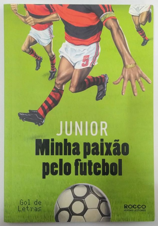<a href="https://www.touchelivros.com.br/livro/minha-paixao-pelo-futebol/">Minha Paixão Pelo Futebol - Junior</a>