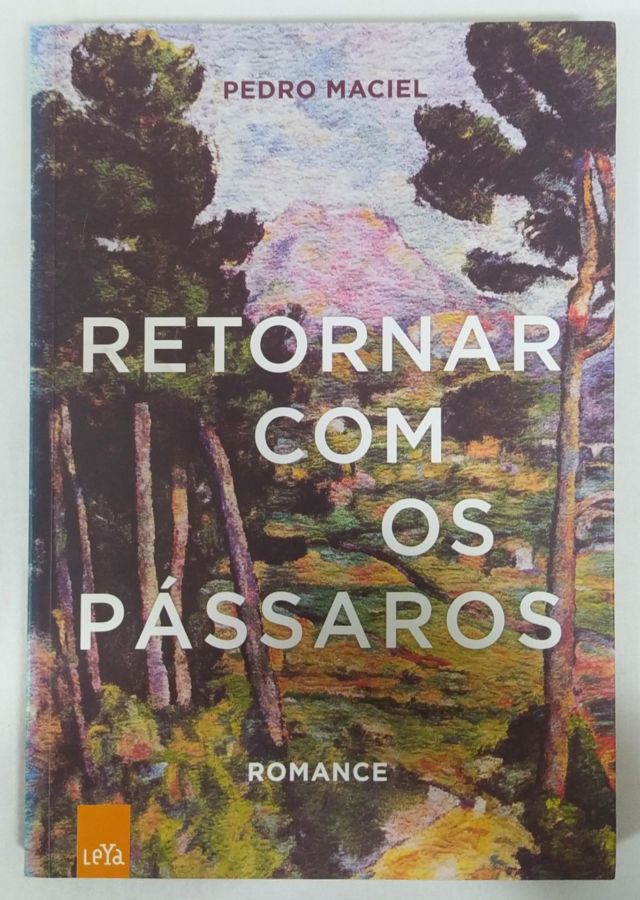 Histórias de Remorsos e Rancores - Luiz Ruffato