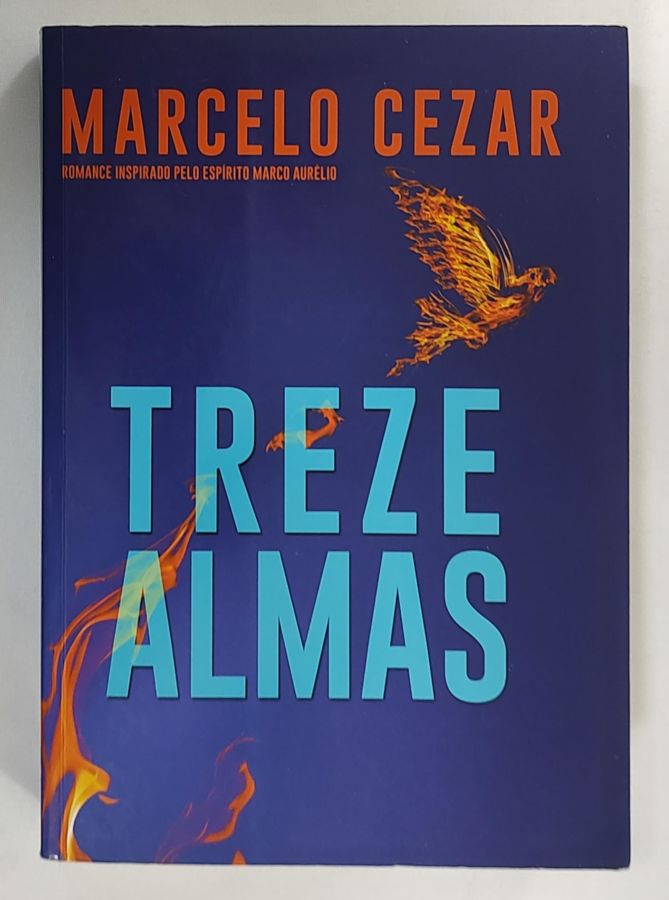 <a href="https://www.touchelivros.com.br/livro/treze-almas/">Treze Almas - Marcelo Cezar</a>