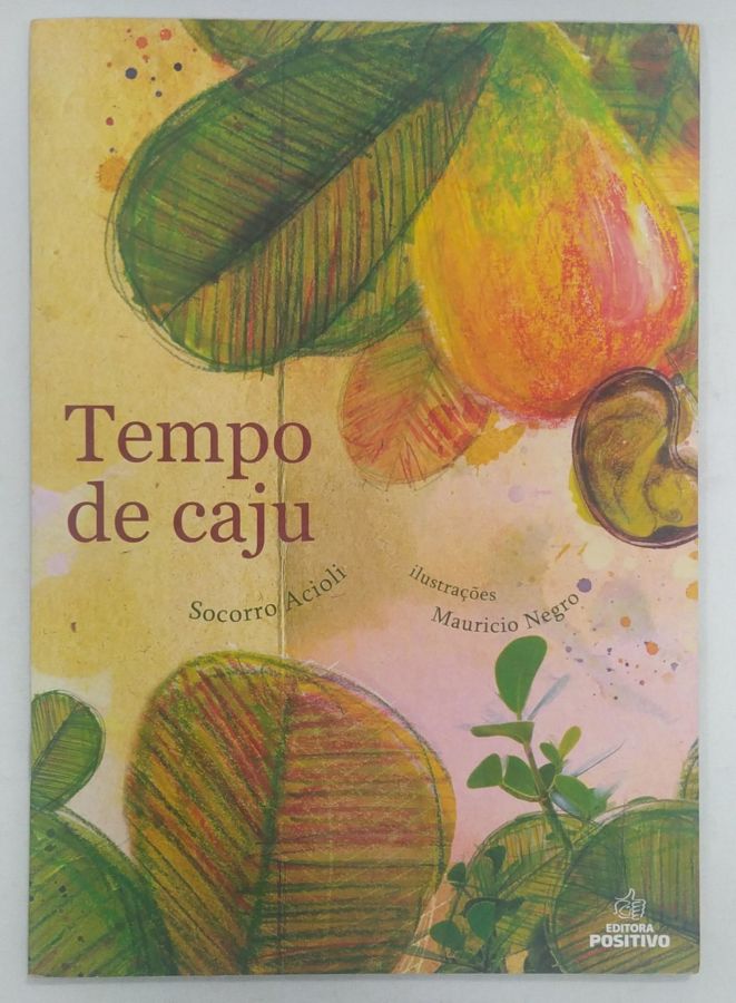 <a href="https://www.touchelivros.com.br/livro/tempo-de-caju/">Tempo De Caju - Socorro Acioli</a>